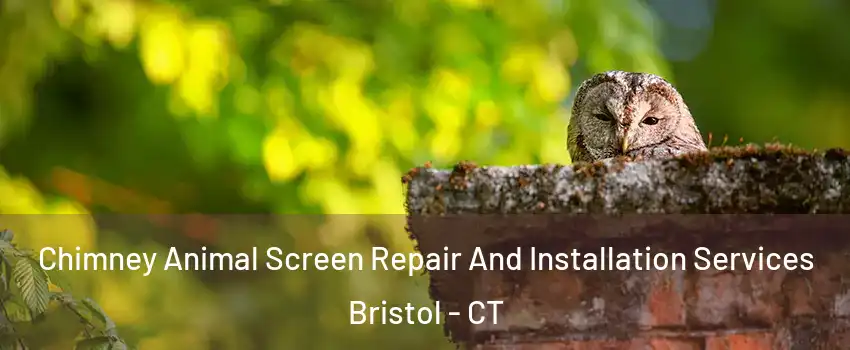  Chimney Animal Screen Repair And Installation Services Bristol - CT