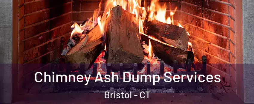  Chimney Ash Dump Services Bristol - CT