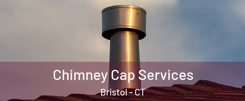  Chimney Cap Services Bristol - CT