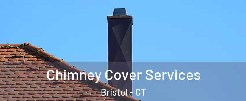  Chimney Cover Services Bristol - CT