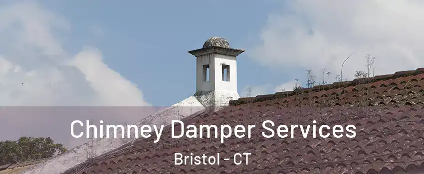  Chimney Damper Services Bristol - CT
