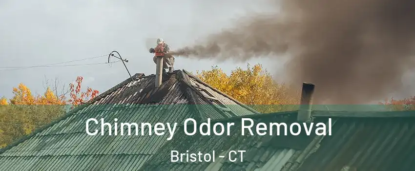  Chimney Odor Removal Bristol - CT