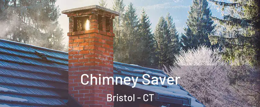  Chimney Saver Bristol - CT