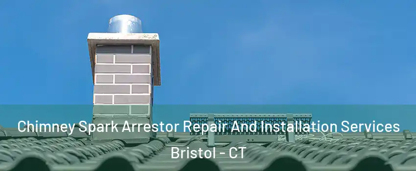  Chimney Spark Arrestor Repair And Installation Services Bristol - CT