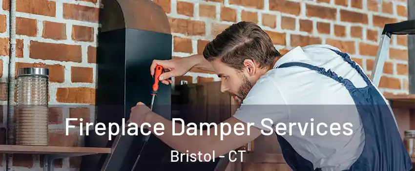  Fireplace Damper Services Bristol - CT