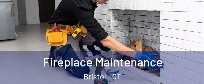  Fireplace Maintenance Bristol - CT