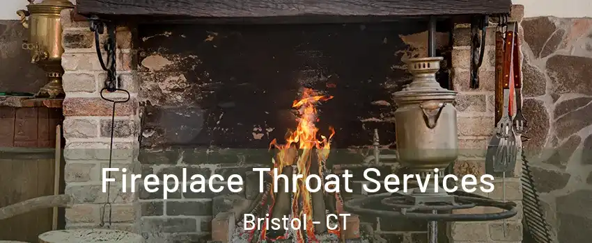  Fireplace Throat Services Bristol - CT