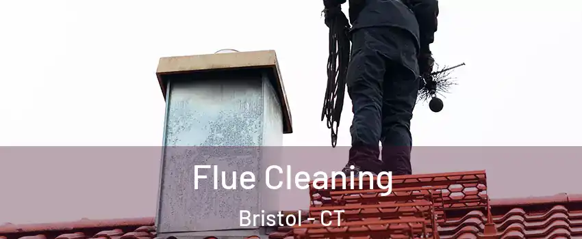  Flue Cleaning Bristol - CT