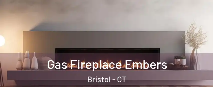  Gas Fireplace Embers Bristol - CT