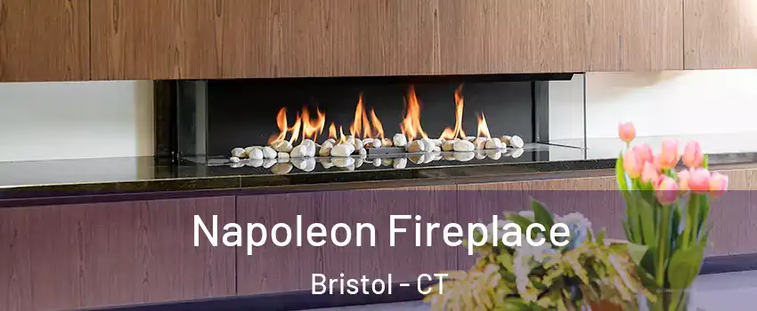  Napoleon Fireplace Bristol - CT