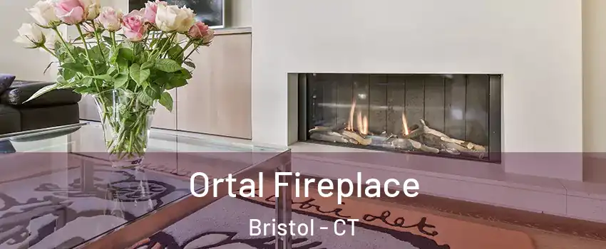 Ortal Fireplace Bristol - CT